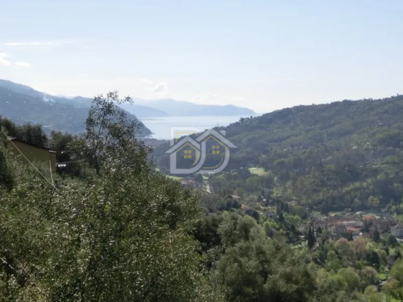 2dImmobiliare